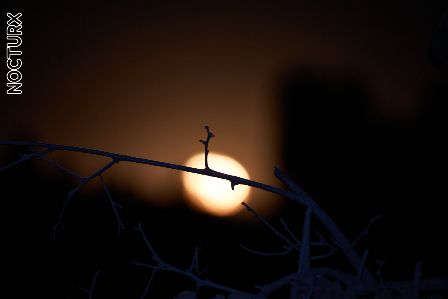 Luna llena, sobre el horizonte de una zona rural