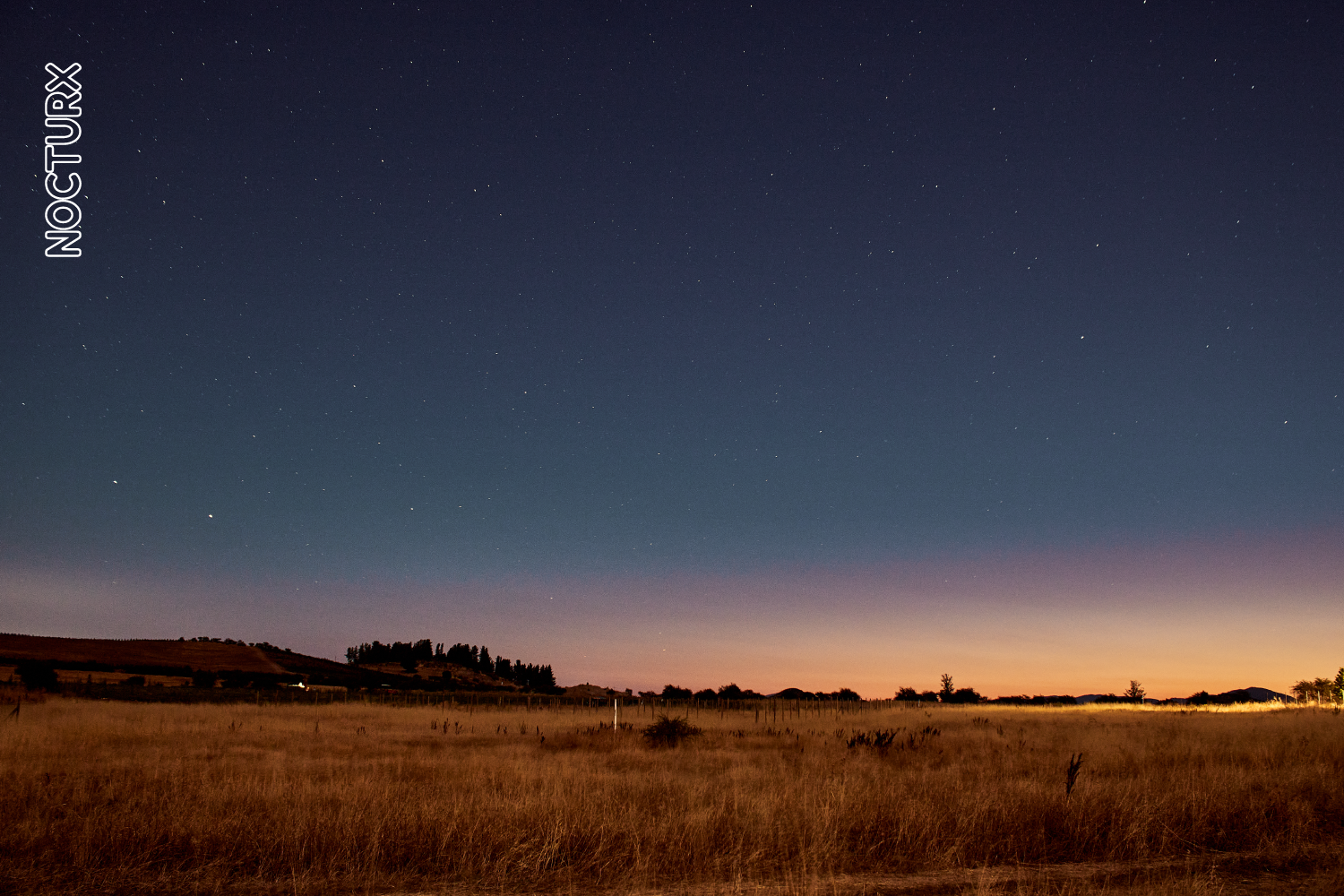 Polvo de Estrellas