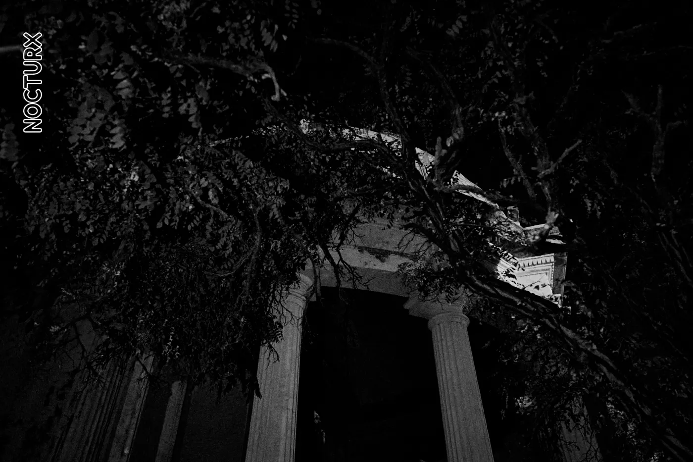 Una Noche en el Cementerio